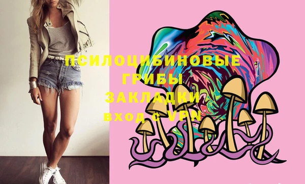 мдпв Иннополис