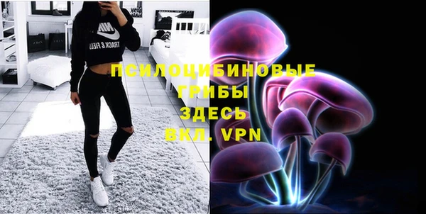 мдпв Иннополис